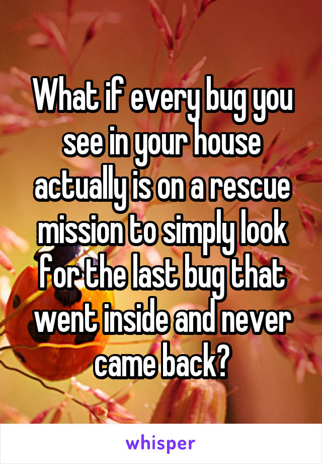 What if every bug you see in your house actually is on a rescue mission to simply look for the last bug that went inside and never came back?