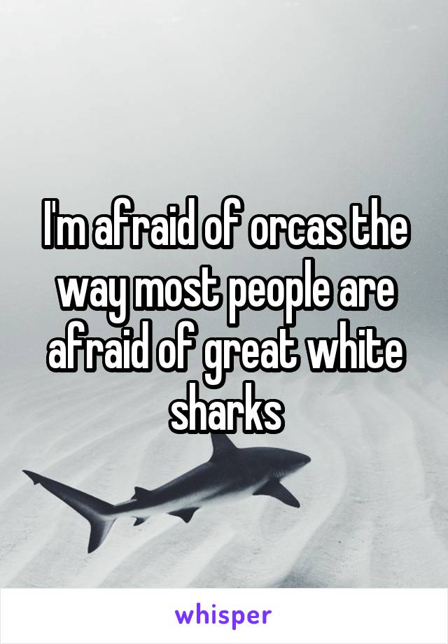 I'm afraid of orcas the way most people are afraid of great white sharks