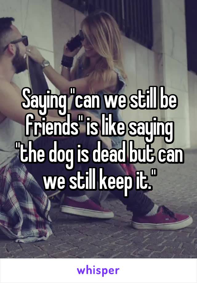 Saying "can we still be friends" is like saying "the dog is dead but can we still keep it."