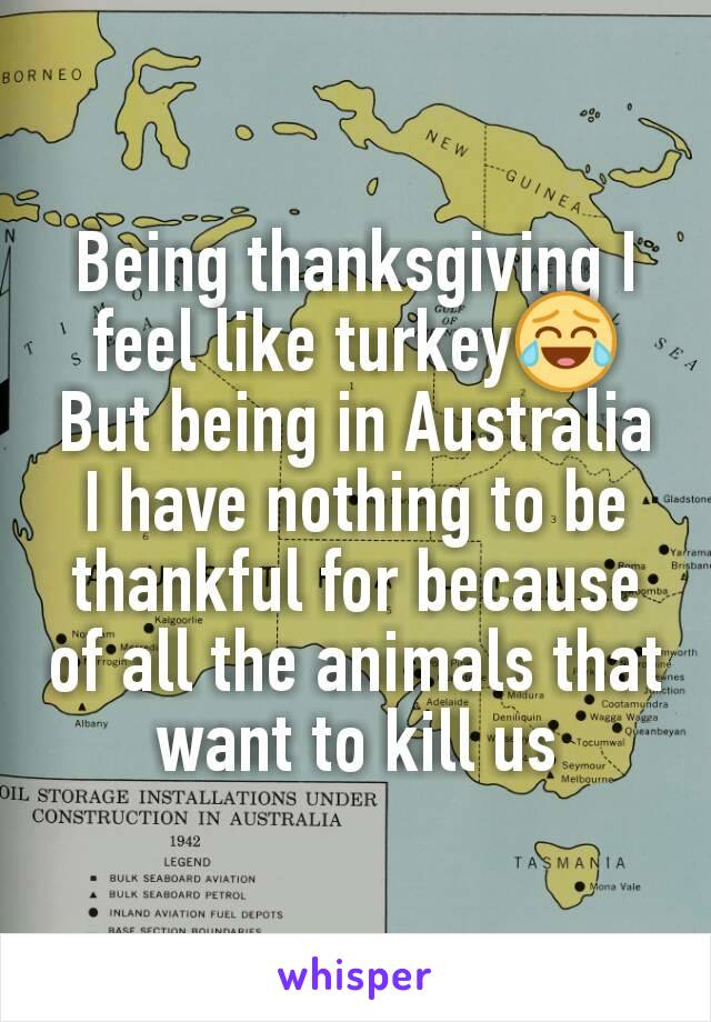 Being thanksgiving I feel like turkey😂
But being in Australia I have nothing to be thankful for because of all the animals that want to kill us