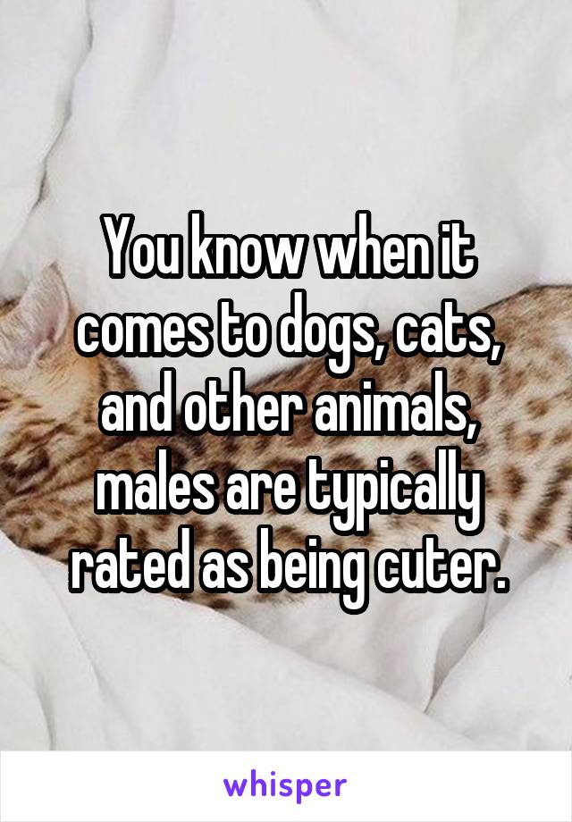 You know when it comes to dogs, cats, and other animals, males are typically rated as being cuter.
