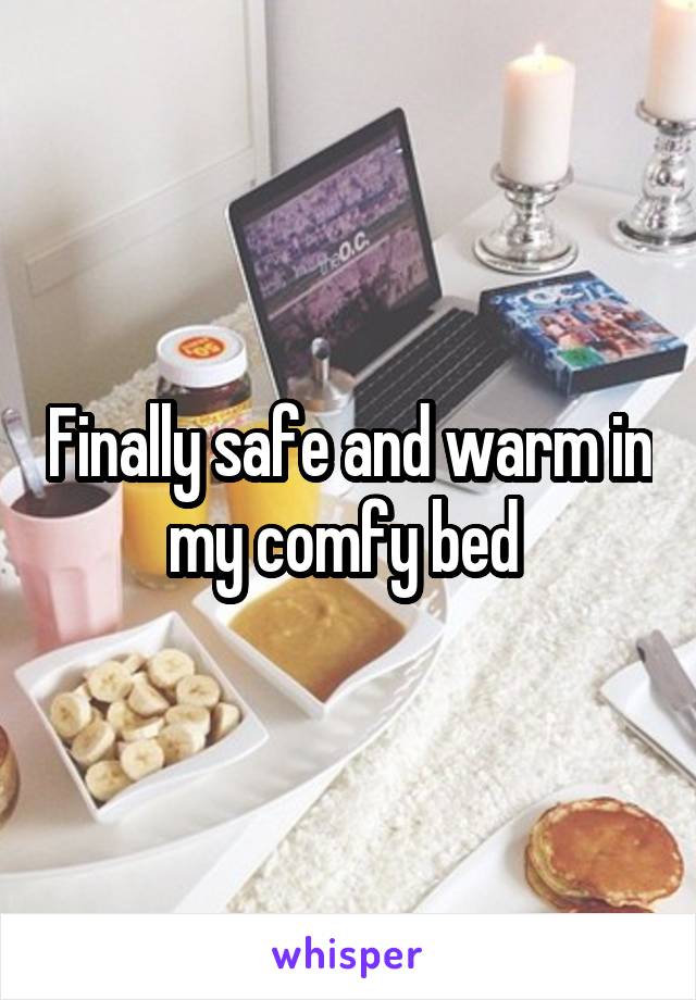 Finally safe and warm in my comfy bed 