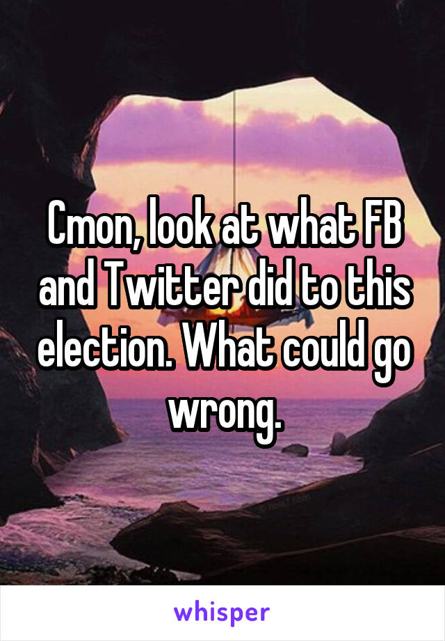 Cmon, look at what FB and Twitter did to this election. What could go wrong.