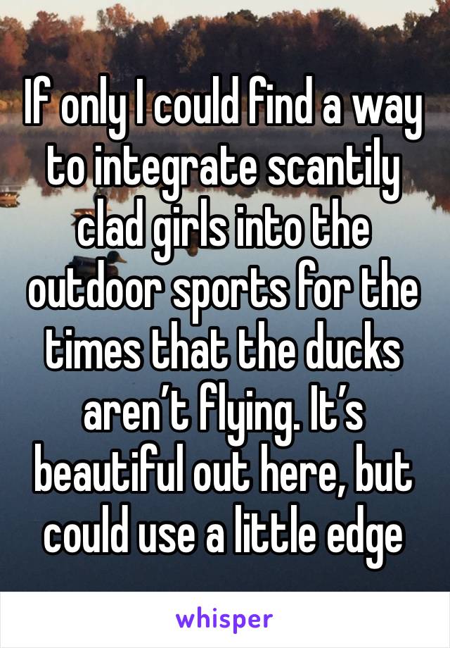 If only I could find a way to integrate scantily clad girls into the outdoor sports for the times that the ducks aren’t flying. It’s beautiful out here, but could use a little edge