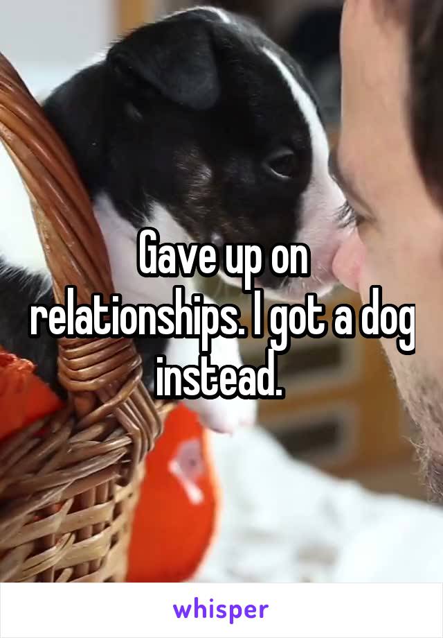Gave up on relationships. I got a dog instead. 