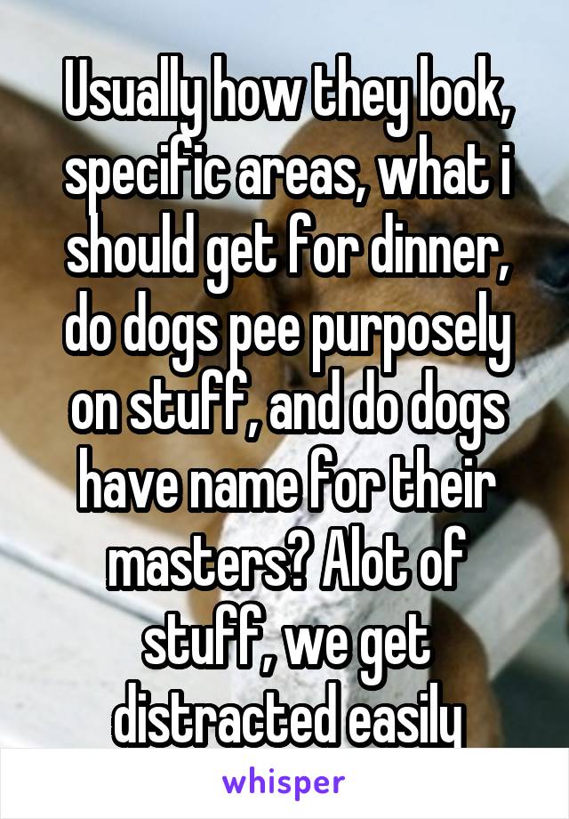 Usually how they look, specific areas, what i should get for dinner, do dogs pee purposely on stuff, and do dogs have name for their masters? Alot of stuff, we get distracted easily