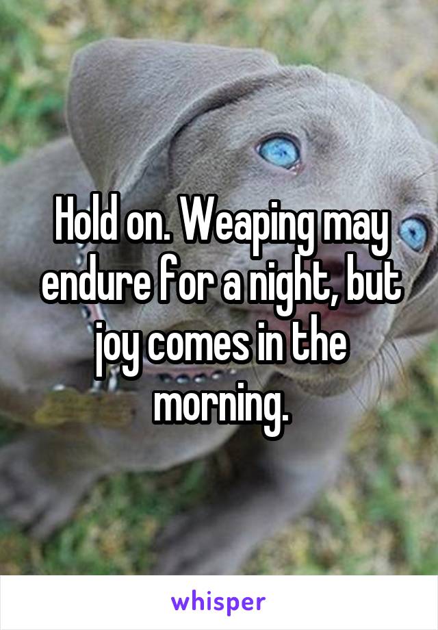 Hold on. Weaping may endure for a night, but joy comes in the morning.