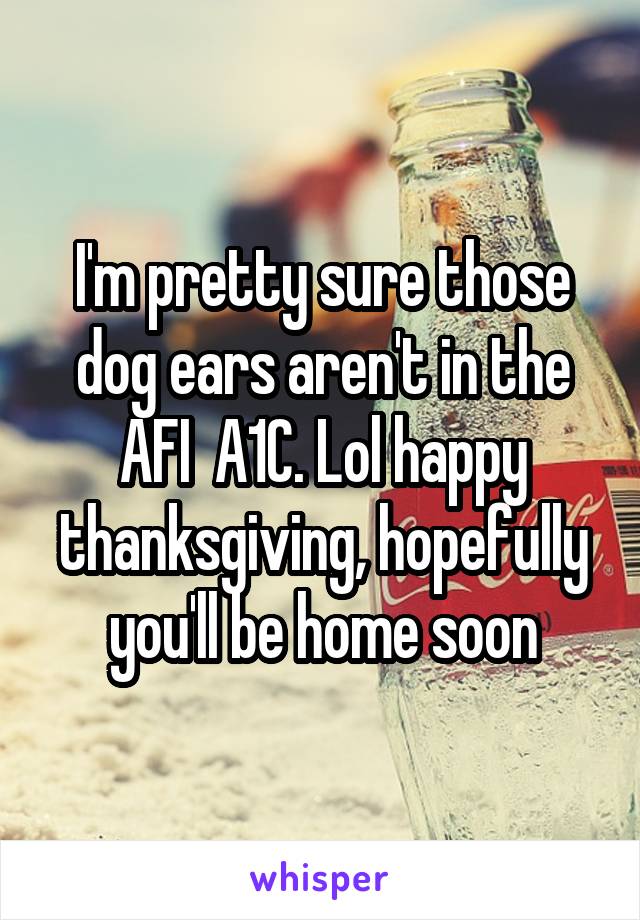 I'm pretty sure those dog ears aren't in the AFI  A1C. Lol happy thanksgiving, hopefully you'll be home soon