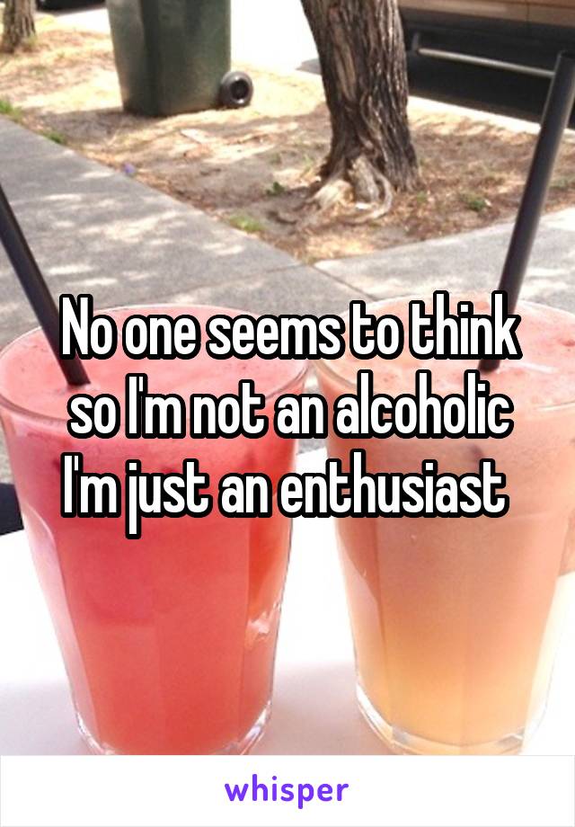 No one seems to think so I'm not an alcoholic I'm just an enthusiast 