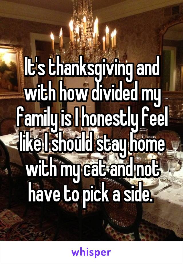 It's thanksgiving and with how divided my family is I honestly feel like I should stay home with my cat and not have to pick a side. 