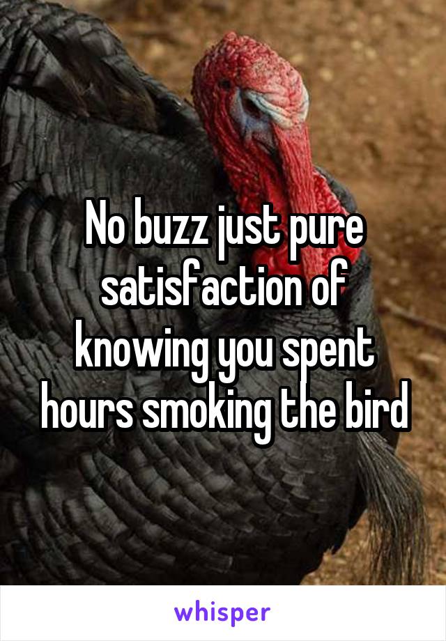 No buzz just pure satisfaction of knowing you spent hours smoking the bird