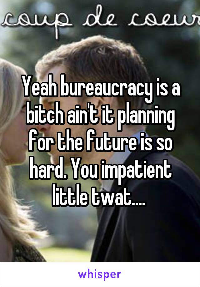 Yeah bureaucracy is a bitch ain't it planning for the future is so hard. You impatient little twat.... 