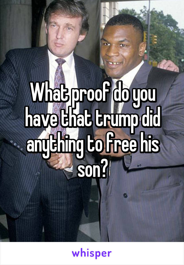 What proof do you have that trump did anything to free his son?