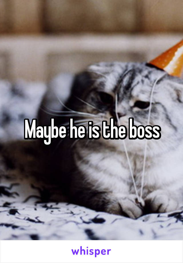 Maybe he is the boss