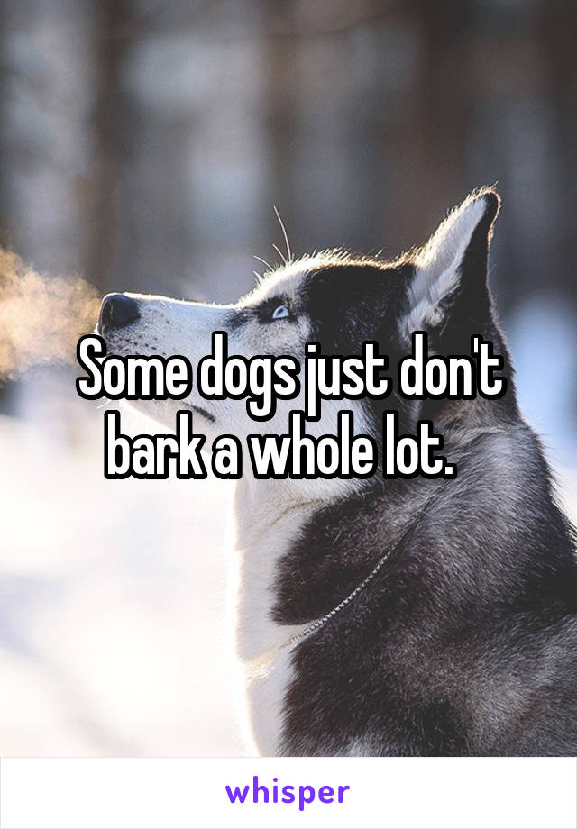 Some dogs just don't bark a whole lot.  