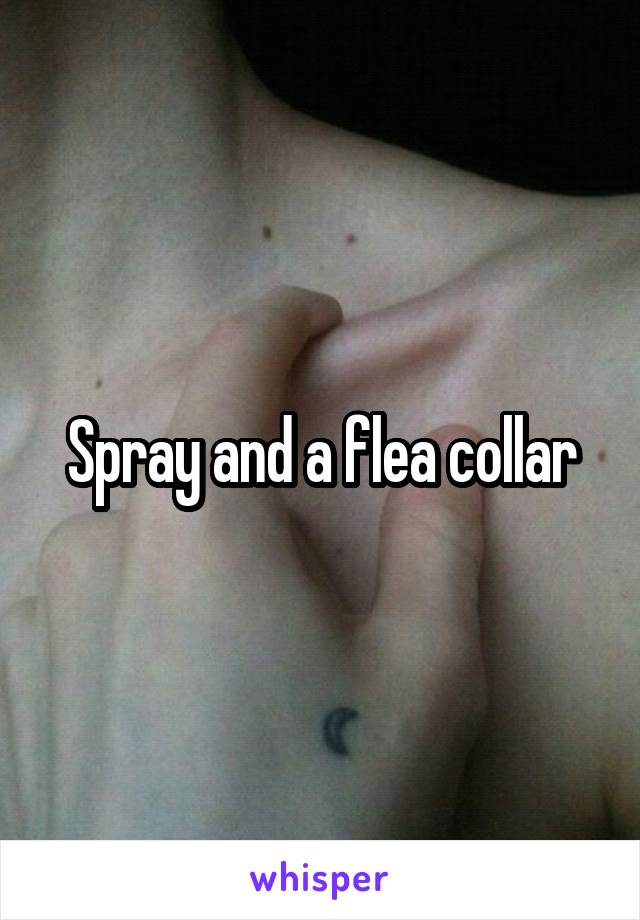 Spray and a flea collar