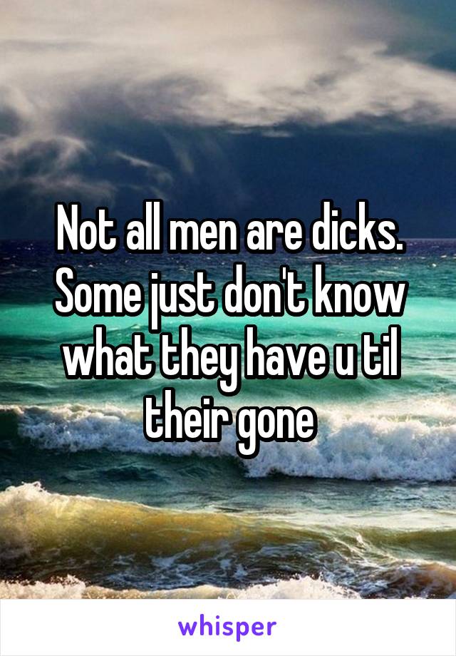 Not all men are dicks. Some just don't know what they have u til their gone