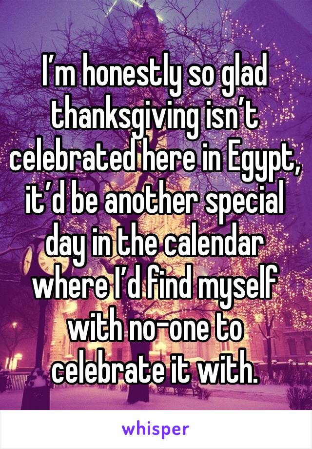 I’m honestly so glad thanksgiving isn’t celebrated here in Egypt, it’d be another special day in the calendar where I’d find myself with no-one to celebrate it with.