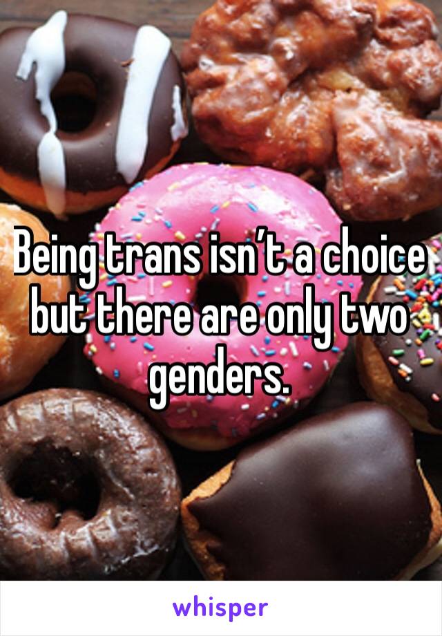 Being trans isn’t a choice but there are only two genders. 