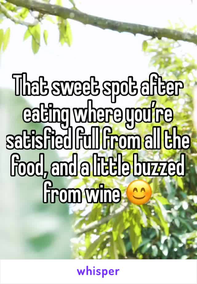 That sweet spot after eating where you’re satisfied full from all the food, and a little buzzed from wine 😊