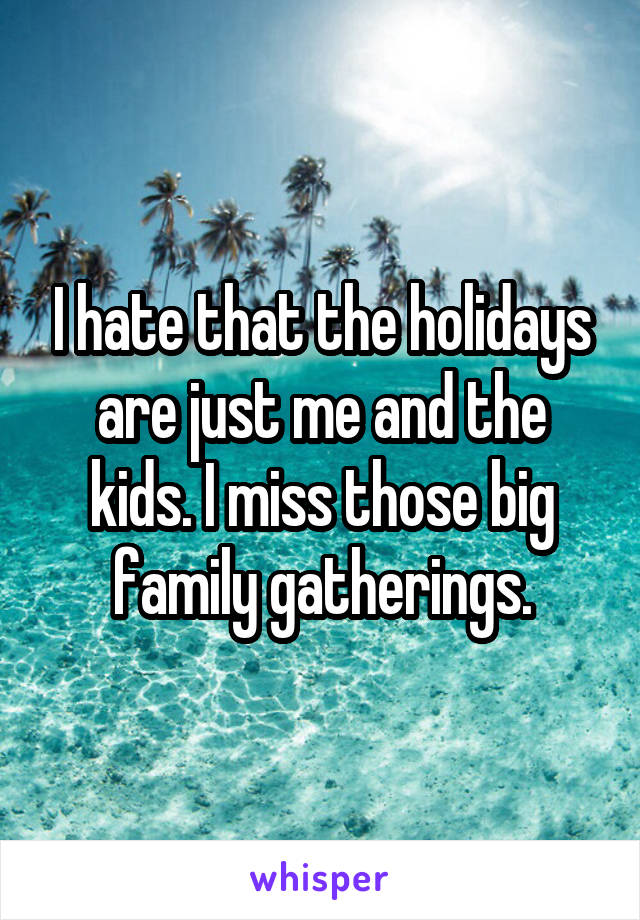I hate that the holidays are just me and the kids. I miss those big family gatherings.