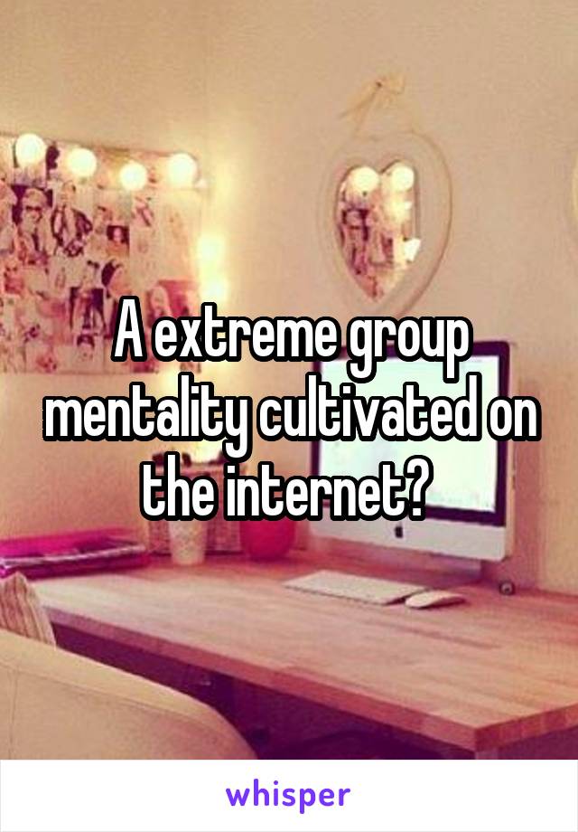 A extreme group mentality cultivated on the internet? 
