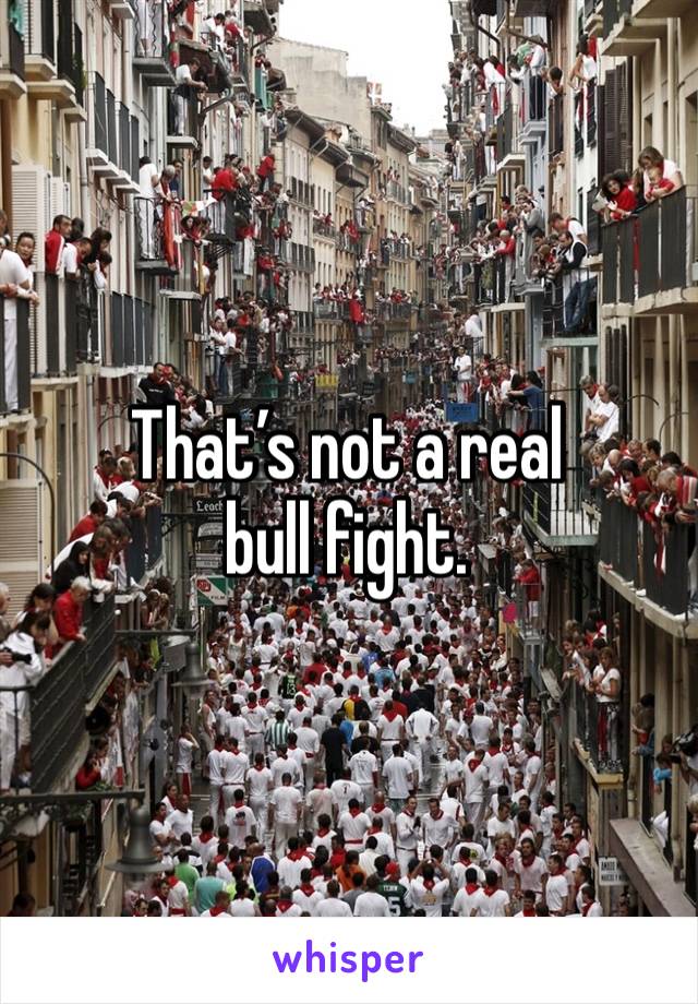That’s not a real bull fight. 
