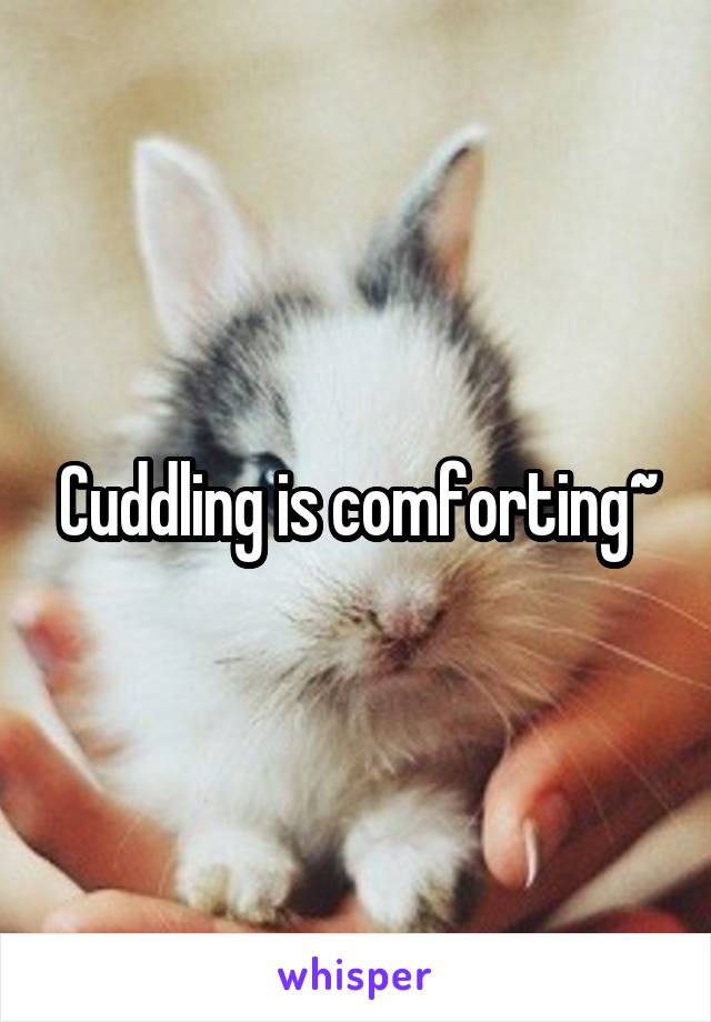 Cuddling is comforting~