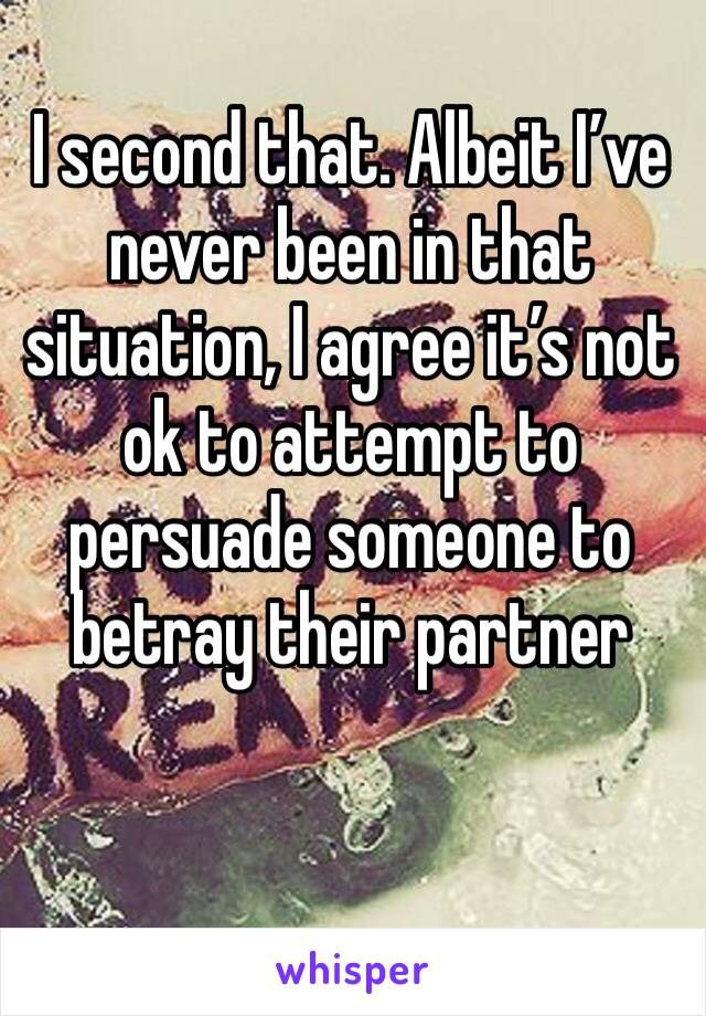 I second that. Albeit I’ve never been in that situation, I agree it’s not ok to attempt to persuade someone to betray their partner 