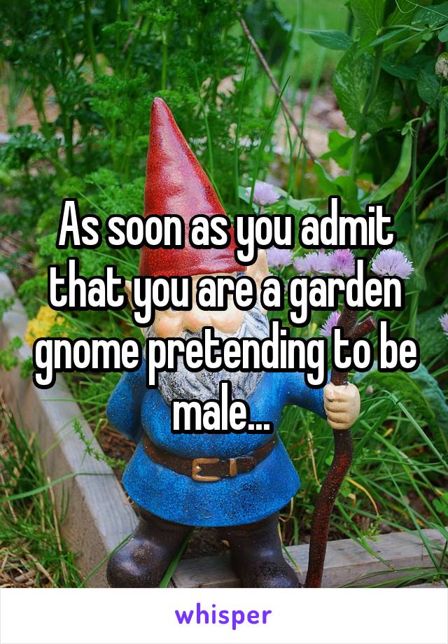 As soon as you admit that you are a garden gnome pretending to be male... 