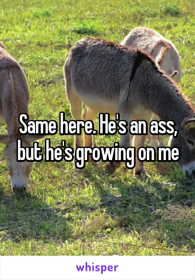 Same here. He's an ass, but he's growing on me