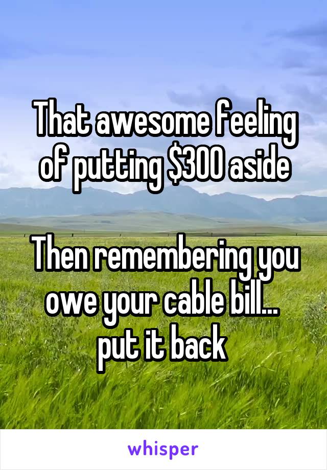 That awesome feeling of putting $300 aside

Then remembering you owe your cable bill... 
put it back 