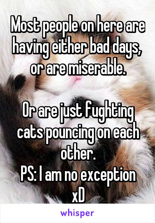 Most people on here are having either bad days,  or are miserable.

Or are just fughting cats pouncing on each other.
PS: I am no exception xD