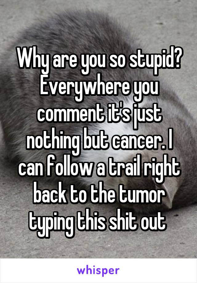 Why are you so stupid? Everywhere you comment it's just nothing but cancer. I can follow a trail right back to the tumor typing this shit out 