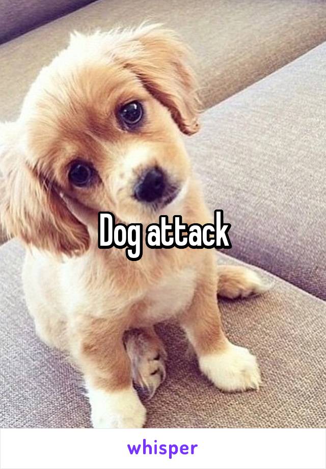 Dog attack