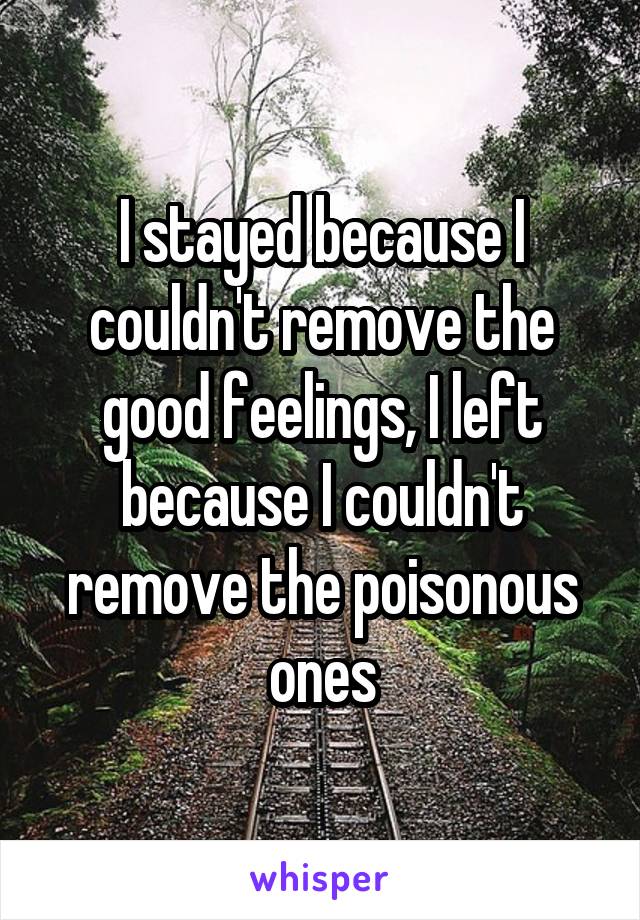 I stayed because I couldn't remove the good feelings, I left because I couldn't remove the poisonous ones