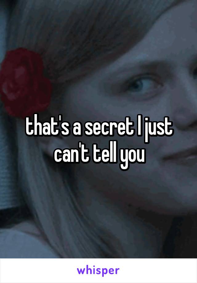 that's a secret I just can't tell you