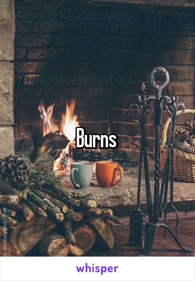 Burns 