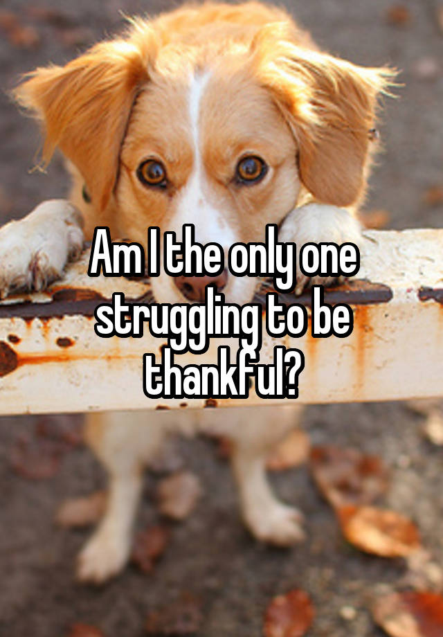 am-i-the-only-one-struggling-to-be-thankful