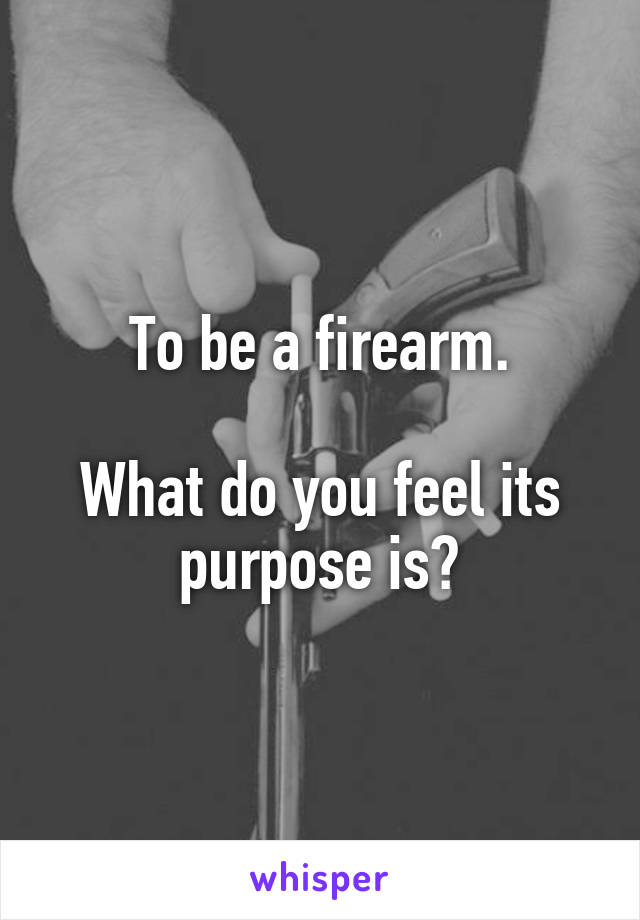 To be a firearm.

What do you feel its purpose is?