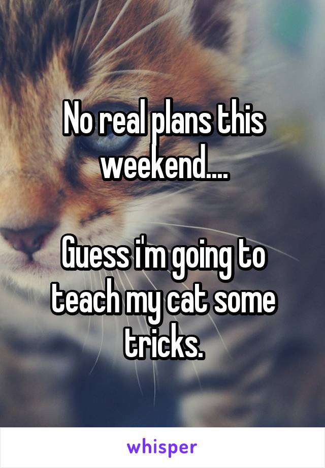 No real plans this weekend....

Guess i'm going to teach my cat some tricks.