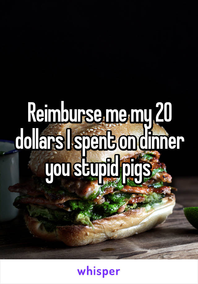 Reimburse me my 20 dollars I spent on dinner you stupid pigs 