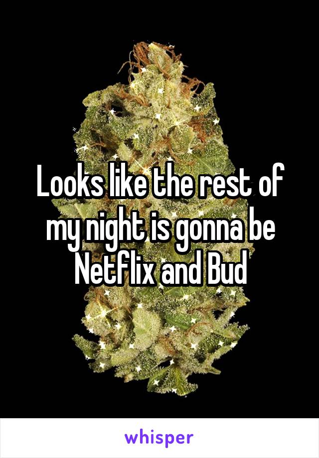 Looks like the rest of my night is gonna be Netflix and Bud