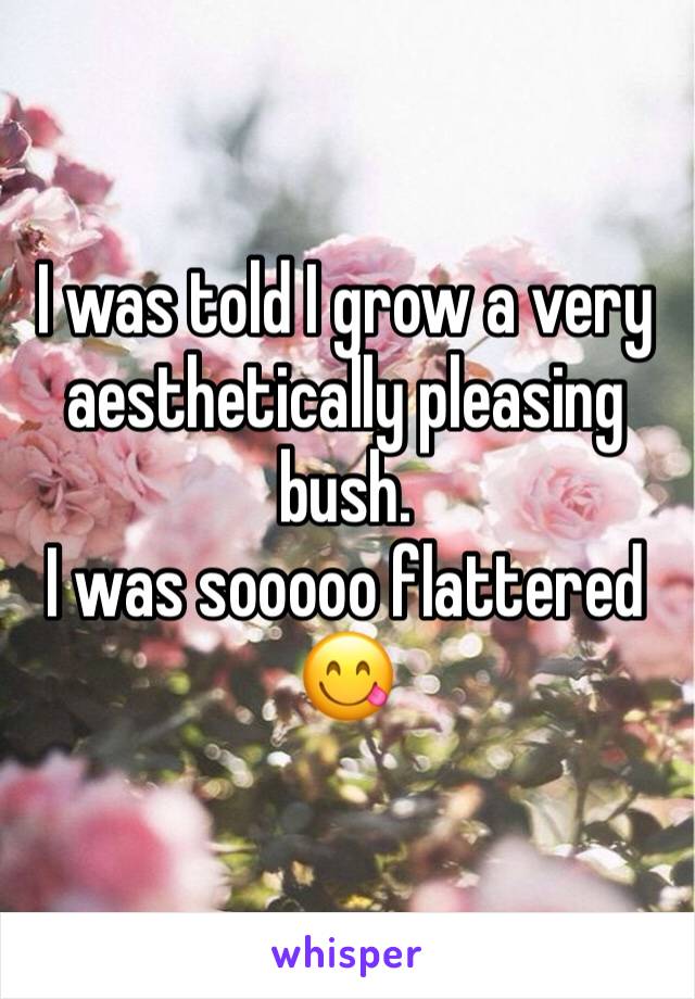 I was told I grow a very aesthetically pleasing bush.
I was sooooo flattered 
😋