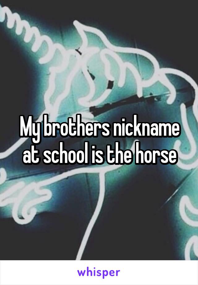 My brothers nickname at school is the horse