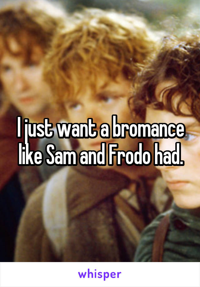 I just want a bromance like Sam and Frodo had.