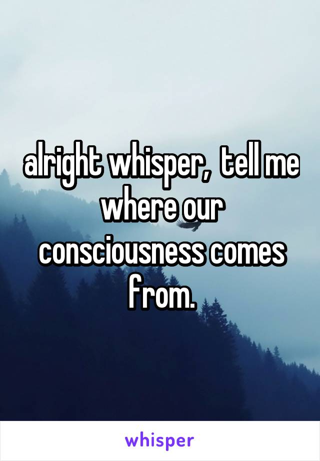 alright whisper,  tell me where our consciousness comes from.