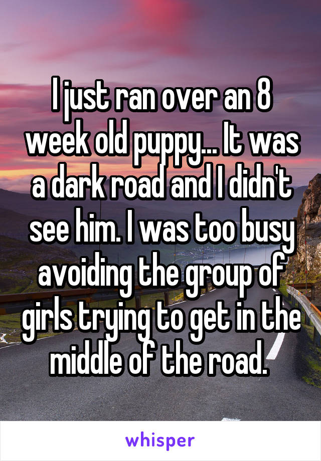 I just ran over an 8 week old puppy... It was a dark road and I didn't see him. I was too busy avoiding the group of girls trying to get in the middle of the road. 