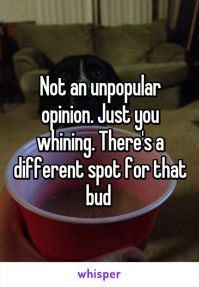 Not an unpopular opinion. Just you whining. There's a different spot for that bud 