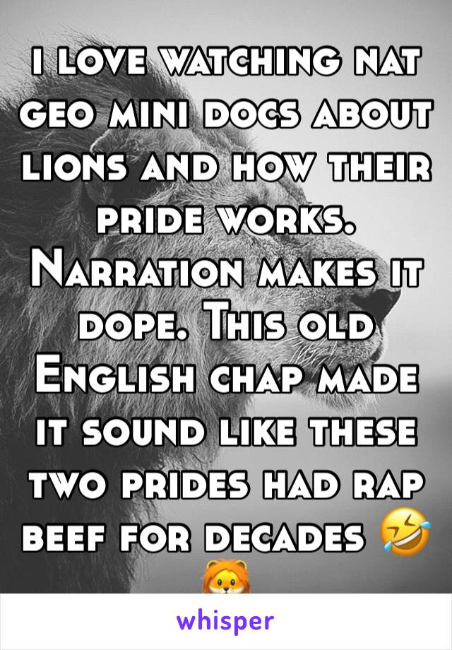 i love watching nat geo mini docs about lions and how their pride works. Narration makes it dope. This old English chap made it sound like these two prides had rap beef for decades 🤣🦁